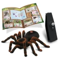 buki-tarantula-zdalnie-sterowana-2.jpg
