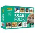 memory-mini-ssaki-polski-adamigo.jpg