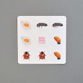 rozowa-wieza-karty-montessori-cykl-rozwojowy-biedronki-plus-figurki-6.jpg