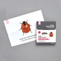 rozowa-wieza-karty-montessori-cykl-rozwojowy-biedronki-plus-figurki-9.jpg