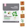 cykl-fasoli.jpg
