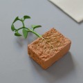 rozowa-wieza-karty-montessori-cykl-rozwojowy-fasoli-plus-figurki-7.jpg