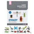 rozowa-wieza-karty-montessori-owady-z-figurkami.jpg