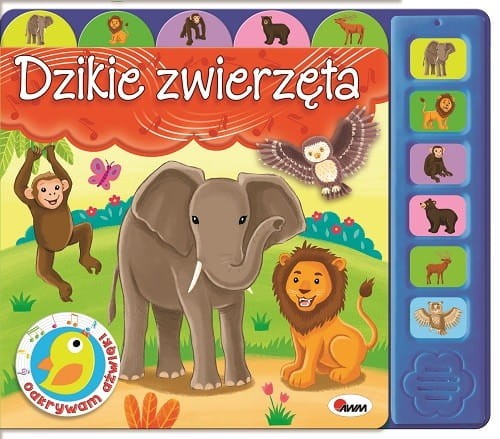 odkrywam dźwięki dzikie zwierzęta