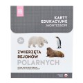 rozowa-wieza-zwierzeta-polarne.jpg