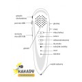 kakadu pióro