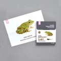 cykl rozwojowy żaby