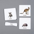 różowa wieża zwierzęta Australii