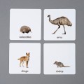 karty zwierzęta Australii