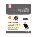 Różowa Wieża Zwierzęta Ameryki Północnej