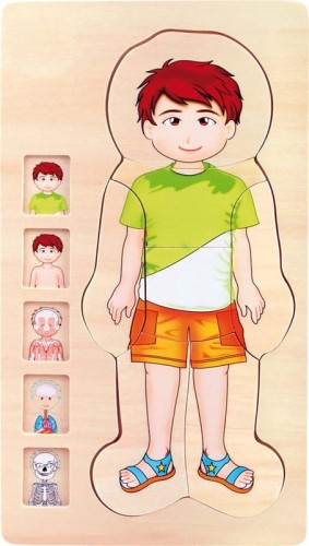 Small foot drewniane puzzle anatomia