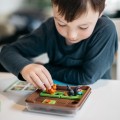 smart-games-gra-wiewiorki-atakuja-5.jpg