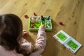 smart-games-gra-na-wsi-2.jpg