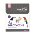rożowa wieża ptaki egzotyczne karty montessori