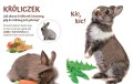 książeczka do głaskania zwierzątek