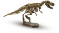 maly-archeolog-wykopaliska-t-rex-2.jpg