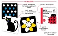 kapitan-nauka-karty-kontrastowe-biedronka-8.jpg