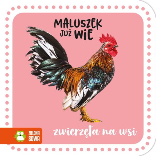 harmonijka maluszek już wie zwierzęta na wsi