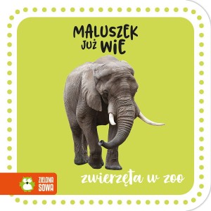 Harmonijka Maluszek już wie  - zwierzęta w ZOO