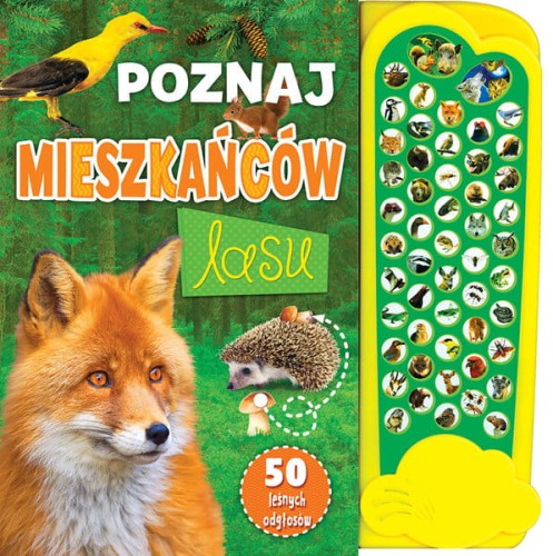 poznaj-mieszkancow-lasu.jpg