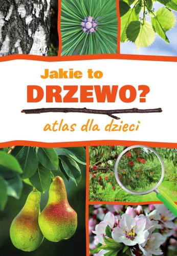 jakie-to-drzewo-atlas-dla-dzieci-drzewa.jpg