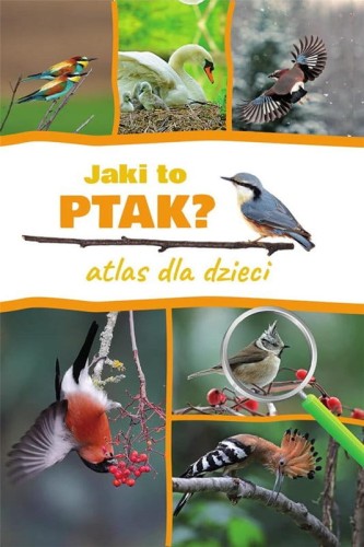 atlas dla dzieci ptaki