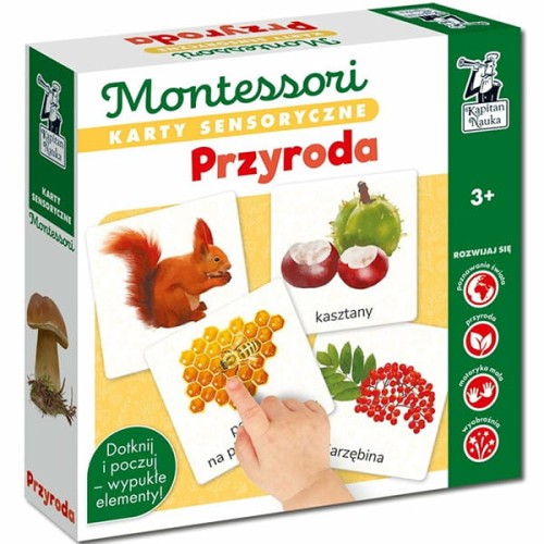 kapitan nauka karty sensoryczne przyroda
