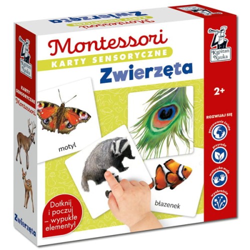 kapitan nauka karty sensoryczne zwierzęta