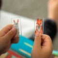 smart-games-gra-magnetyczna-krolicza-norka-2.jpg