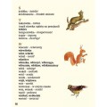 ortografia-w-wierszykach-o-kreskowane-7.jpg