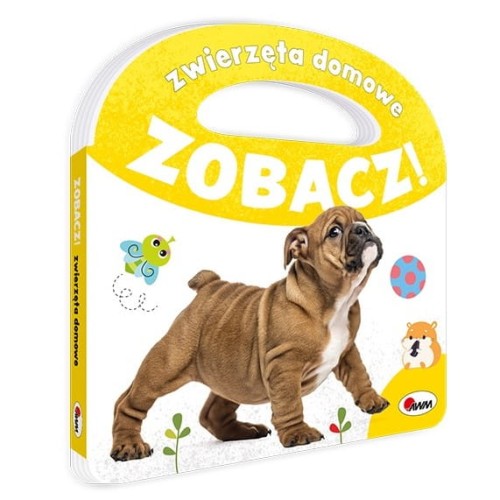 książka zobacz zwierzęta domowe