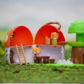 Klorofil-Muchomorek-domek-4.jpg
