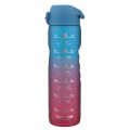 ION8 butelka motivator blue and pink