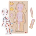 Goki-Ukladanka-anatomia-ciala-dziewczynka.jpg