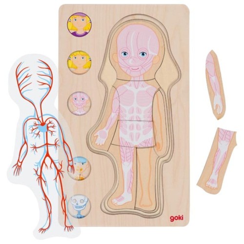 Goki-Ukladanka-anatomia-ciala-dziewczynka.jpg