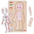 Goki-Ukladanka-anatomia-ciala-chłopiec-1.jpg