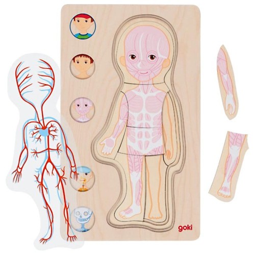 Goki-Ukladanka-anatomia-ciala-chłopiec-1.jpg