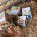 Little-Dutch-kartonowa-wieza-Little-Farm-3.jpg