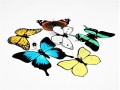 zawieszki_karuzela_wymienna_motyle_mobil_montessori-1.jpg