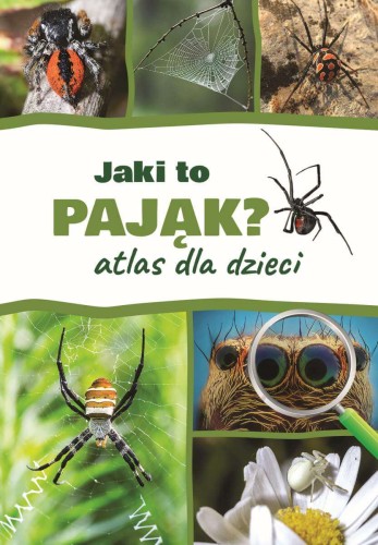 atlas-dla-dzieci-jaki-to-pajak.jpg