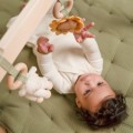 Little-dutch-palak-babygym-little-farm-4.jpg