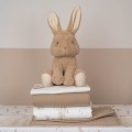 Little-Dutch-przytulanka-kroliczek-baby-bunny-25-cm-1.jpg