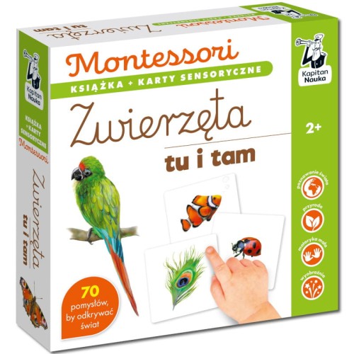 kapitan-nauka-montessori-zwierzeta-tu-i-tam.jpg