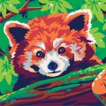 sentosphere-colorizzy-panda-roux-shiba-2.jpg