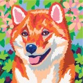 sentosphere-colorizzy-panda-roux-shiba-3.jpg