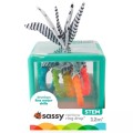 Sassy-kostka-sensoryczna-sorter-z-koleczkami.jpg