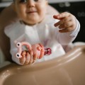 babyono-gryzak-do-padawania-pokarmow-frog-4.jpg
