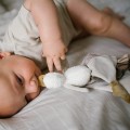 babyono-przytulanka-kocyk-goose-gaska-3.jpg