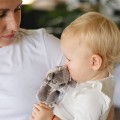 babyono-grzechotka-koala-coco-3.jpg