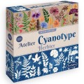 sentosphere-zielnik-w-technice-cyjanotypii-1.jpg